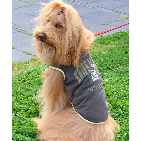 [^:D2457854]sKRIFF MAYER ăACeuDOGEFbgveNgT(JbW)vtł݂łɂIWifށwWET PROTECTxgpTVcłByEhEzEݖh~ɉāAڐG⊴̋@\vXIĂɑ劈􂷂nCXybNTVcɎdグĂ܂BNtC[̃ACRłNtrbgwɂǂƔzJbWS|bvȃACełBzFpCsOANZgɂȂ舤Ȃ܂ĨACe͓fޥRZvg̃I[i[TCY(iԁF2457818)WJĂ̂ŉƑłR[fy݂܂IɂȂhbOEFAő̂񂿂ƍʉႨIKRIFF MAYERiNtC[jƑ݂Ȃ̖ɊyƏΊ͂BNtC[̕ɂ͂Ȏvlߍ܂Ă܂BYEfB[XELbYAXɃhbOEFA܂œWJBCȂXʂȎvoɕςuԂoAx[VbNIWieB[ӂVfC[EGAĂ܂B