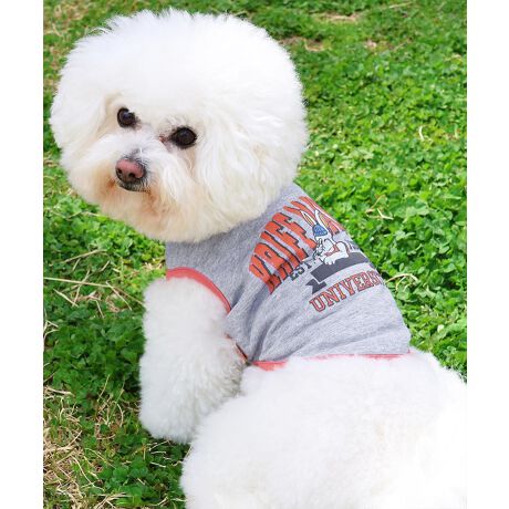 [^:D2457854]sKRIFF MAYER ăACeuDOGEFbgveNgT(JbW)vtł݂łɂIWifށwWET PROTECTxgpTVcłByEhEzEݖh~ɉāAڐG⊴̋@\vXIĂɑ劈􂷂nCXybNTVcɎdグĂ܂BNtC[̃ACRłNtrbgwɂǂƔzJbWS|bvȃACełBzFpCsOANZgɂȂ舤Ȃ܂ĨACe͓fޥRZvg̃I[i[TCY(iԁF2457818)WJĂ̂ŉƑłR[fy݂܂IɂȂhbOEFAő̂񂿂ƍʉႨIKRIFF MAYERiNtC[jƑ݂Ȃ̖ɊyƏΊ͂BNtC[̕ɂ͂Ȏvlߍ܂Ă܂BYEfB[XELbYAXɃhbOEFA܂œWJBCȂXʂȎvoɕςuԂoAx[VbNIWieB[ӂVfC[EGAĂ܂B