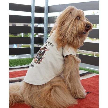 [^:D2515120]sKRIFF MAYER H~ACeuDOGX[xjAhJJKvtXG[h^b`fނ̃X[xjAhJWPbgBBe[W̃XJWTvÕOtBbNCpNĝꖇBpCsOe[vANZgɂȂĂ܂BLkȂACełAʃt@Xi[őOSĊĴŒEȒPĨACe͓fޥRZvg̃I[i[TCY(iԁF2515101)WJĂ̂ŉƑłR[fy݂܂IɂȂhbOEFAő̂񂿂ƍʉႨILk̂ȂACełBn[lX͂܂BACeɂăTCYقȂׁAl悭m߂B-------------------------ňFFȂLkFȂnFȂPA@F-------------------------KRIFF MAYERiNtC[jƑ݂Ȃ̖ɊyƏΊ͂BNtC[̕ɂ͂Ȏvlߍ܂Ă܂BYEfB[XELbYAXɃhbOEFA܂œWJBCȂXʂȎvoɕςuԂoAx[VbNIWieB[ӂVfC[EGAĂ܂B