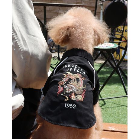 [^:D2515120]sKRIFF MAYER H~ACeuDOGX[xjAhJJKvtXG[h^b`fނ̃X[xjAhJWPbgBBe[W̃XJWTvÕOtBbNCpNĝꖇBpCsOe[vANZgɂȂĂ܂BLkȂACełAʃt@Xi[őOSĊĴŒEȒPĨACe͓fޥRZvg̃I[i[TCY(iԁF2515101)WJĂ̂ŉƑłR[fy݂܂IɂȂhbOEFAő̂񂿂ƍʉႨILk̂ȂACełBn[lX͂܂BACeɂăTCYقȂׁAl悭m߂B-------------------------ňFFȂLkFȂnFȂPA@F-------------------------KRIFF MAYERiNtC[jƑ݂Ȃ̖ɊyƏΊ͂BNtC[̕ɂ͂Ȏvlߍ܂Ă܂BYEfB[XELbYAXɃhbOEFA܂œWJBCȂXʂȎvoɕςuԂoAx[VbNIWieB[ӂVfC[EGAĂ܂B