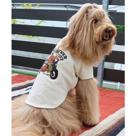 [^:D2515605]sKRIFF MAYER H~ACeuDOĜT(rbg)vtlĈуV[YIАGĎĂقuvƐLтC̗ǂSna݂ɂȂ邱ƊԈႢȂILk胏̓ɂ҂tBbĝŁÂ݂镞⑕iȃɂ߂łBND]oCN̎hJj[AANtrbgTChJ[vXăƂłĂlqOtBbNɂȂĂ܂BE₷AGǂAĒgIOq̂́IЂB̃ACe͓fޥRZvg̃I[i[TCY(iԁF2515600)WJĂ̂ŉƑłR[fy݂܂I܂fނ̃ST(i:D2515606)WJĂ܂BɂȂhbOEFAő̂񂿂ƍʉႨIn[lX͂܂BACeɂăTCYقȂׁAl悭m߂B-------------------------ňFF₠(It̂)LkF藠nFȂPA@F@􂢉ilbggpj-------------------------KRIFF MAYERiNtC[jƑ݂Ȃ̖ɊyƏΊ͂BNtC[̕ɂ͂Ȏvlߍ܂Ă܂BYEfB[XELbYAXɃhbOEFA܂œWJBCȂXʂȎvoɕςuԂoAx[VbNIWieB[ӂVfC[EGAĂ܂B