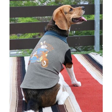 [^:D2515605]sKRIFF MAYER H~ACeuDOĜT(rbg)vtlĈуV[YIАGĎĂقuvƐLтC̗ǂSna݂ɂȂ邱ƊԈႢȂILk胏̓ɂ҂tBbĝŁÂ݂镞⑕iȃɂ߂łBND]oCN̎hJj[AANtrbgTChJ[vXăƂłĂlqOtBbNɂȂĂ܂BE₷AGǂAĒgIOq̂́IЂB̃ACe͓fޥRZvg̃I[i[TCY(iԁF2515600)WJĂ̂ŉƑłR[fy݂܂I܂fނ̃ST(i:D2515606)WJĂ܂BɂȂhbOEFAő̂񂿂ƍʉႨIn[lX͂܂BACeɂăTCYقȂׁAl悭m߂B-------------------------ňFF₠(It̂)LkF藠nFȂPA@F@􂢉ilbggpj-------------------------KRIFF MAYERiNtC[jƑ݂Ȃ̖ɊyƏΊ͂BNtC[̕ɂ͂Ȏvlߍ܂Ă܂BYEfB[XELbYAXɃhbOEFA܂œWJBCȂXʂȎvoɕςuԂoAx[VbNIWieB[ӂVfC[EGAĂ܂B