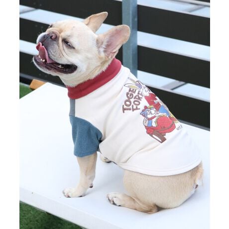 [^:D2515605]sKRIFF MAYER H~ACeuDOĜT(rbg)vtlĈуV[YIАGĎĂقuvƐLтC̗ǂSna݂ɂȂ邱ƊԈႢȂILk胏̓ɂ҂tBbĝŁÂ݂镞⑕iȃɂ߂łBND]oCN̎hJj[AANtrbgTChJ[vXăƂłĂlqOtBbNɂȂĂ܂BE₷AGǂAĒgIOq̂́IЂB̃ACe͓fޥRZvg̃I[i[TCY(iԁF2515600)WJĂ̂ŉƑłR[fy݂܂I܂fނ̃ST(i:D2515606)WJĂ܂BɂȂhbOEFAő̂񂿂ƍʉႨIn[lX͂܂BACeɂăTCYقȂׁAl悭m߂B-------------------------ňFF₠(It̂)LkF藠nFȂPA@F@􂢉ilbggpj-------------------------KRIFF MAYERiNtC[jƑ݂Ȃ̖ɊyƏΊ͂BNtC[̕ɂ͂Ȏvlߍ܂Ă܂BYEfB[XELbYAXɃhbOEFA܂œWJBCȂXʂȎvoɕςuԂoAx[VbNIWieB[ӂVfC[EGAĂ܂B