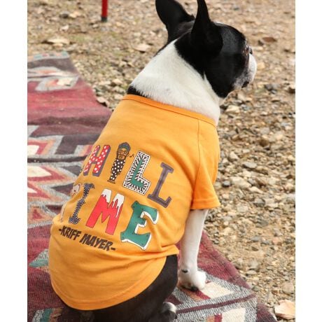 [^:D2517823]sKRIFF MAYER H~ACeuDOG`^CT(G)vtCHILL TIME ̕ POP ɃftHOtBbNBI̕ Mr.K ŕ\邢͋C炵ACełB肵ɉȂlɁAMr. KbytĂ̂|CgĨACe͓fޥRZvg̃I[i[TCY(iԁF2517809)WJĂ̂ŉƑłR[fy݂܂IɂȂhbOEFAő̂񂿂ƍʉႨIn[lX͂܂BACeɂăTCYقȂׁAl悭m߂B-------------------------ňFF₠(It̂)LkF藠nFȂPA@F@􂢉ilbggpj-------------------------KRIFF MAYERiNtC[jƑ݂Ȃ̖ɊyƏΊ͂BNtC[̕ɂ͂Ȏvlߍ܂Ă܂BYEfB[XELbYAXɃhbOEFA܂œWJBCȂXʂȎvoɕςuԂoAx[VbNIWieB[ӂVfC[EGAĂ܂B