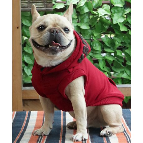 [^:D2527809]sKRIFF MAYER H~ACeuDOGTKhJp[J[(t[hS)vt_炩GƁA͂ƋNтĂgXEFbgp[J[łBD]Ẵt[hSV[YIN̓^^~hJƃTKhJgݍ킹A̓IȃSɂȂēołB@ۂ̓㊣₷A~̂ɂKĂ܂BςA͂ႢŉĂSȂƁID]ɂA^TCYoI(i:D2527809B)A`FbNĂIɂȂhbOEFAő̂񂿂ƍʉႨĨACe͓RZvg̃YACe(iԁF2523107)fB[XACe(iԁFW2527821)LbYACe(iԁFJ2527831)܂̂ŁAR[fy݂܂IACeɂăTCYقȂׁAl悭m߂B-------------------------ňFFȂLkF藠nFȂPA@F@􂢉ilbggpj-------------------------@KRIFF MAYERiNtC[jƑ݂Ȃ̖ɊyƏΊ͂BNtC[̕ɂ͂Ȏvlߍ܂Ă܂BYEfB[XELbYAXɃhbOEFA܂œWJBCȂXʂȎvoɕςuԂoAx[VbNIWieB[ӂVfC[EGAĂ܂B