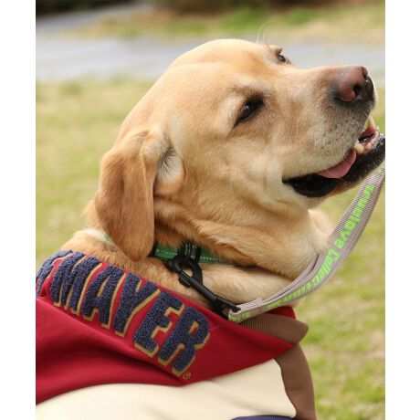 [^:D2527809B]sKRIFF MAYER H~ACeuDOGTKhJp[J[(t[hS)vtD]Ẵt[hSV[YɂȂƁI^TCYoI_炩GƁA͂ƋNтĂgXEFbgp[J[łB^^~hJƃTKhJgݍ킹A̓IȃSɂȂĂ܂B@ۂ̓㊣₷A~̂ɂKĂ܂BςA͂ႢŉĂS􏬌^`^TCYWJ(i:D2527809)A`FbNĂIɂȂhbOEFAő̂񂿂ƍʉႨĨACe͓RZvg̃YACe(iԁF2523107)fB[XACe(iԁFW2527821)LbYACe(iԁFJ2527831)܂̂ŁAR[fy݂܂IACeɂăTCYقȂׁAl悭m߂B-------------------------ňFFȂLkF藠nFȂPA@F@􂢉ilbggpj-------------------------@KRIFF MAYERiNtC[jƑ݂Ȃ̖ɊyƏΊ͂BNtC[̕ɂ͂Ȏvlߍ܂Ă܂BYEfB[XELbYAXɃhbOEFA܂œWJBCȂXʂȎvoɕςuԂoAx[VbNIWieB[ӂVfC[EGAĂ܂B