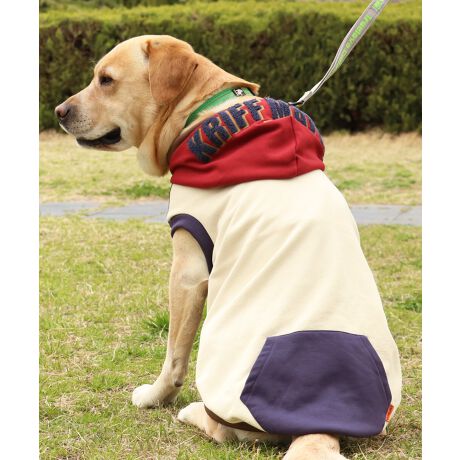 [^:D2527809B]sKRIFF MAYER H~ACeuDOGTKhJp[J[(t[hS)vtD]Ẵt[hSV[YɂȂƁI^TCYoI_炩GƁA͂ƋNтĂgXEFbgp[J[łB^^~hJƃTKhJgݍ킹A̓IȃSɂȂĂ܂B@ۂ̓㊣₷A~̂ɂKĂ܂BςA͂ႢŉĂS􏬌^`^TCYWJ(i:D2527809)A`FbNĂIɂȂhbOEFAő̂񂿂ƍʉႨĨACe͓RZvg̃YACe(iԁF2523107)fB[XACe(iԁFW2527821)LbYACe(iԁFJ2527831)܂̂ŁAR[fy݂܂IACeɂăTCYقȂׁAl悭m߂B-------------------------ňFFȂLkF藠nFȂPA@F@􂢉ilbggpj-------------------------@KRIFF MAYERiNtC[jƑ݂Ȃ̖ɊyƏΊ͂BNtC[̕ɂ͂Ȏvlߍ܂Ă܂BYEfB[XELbYAXɃhbOEFA܂œWJBCȂXʂȎvoɕςuԂoAx[VbNIWieB[ӂVfC[EGAĂ܂B