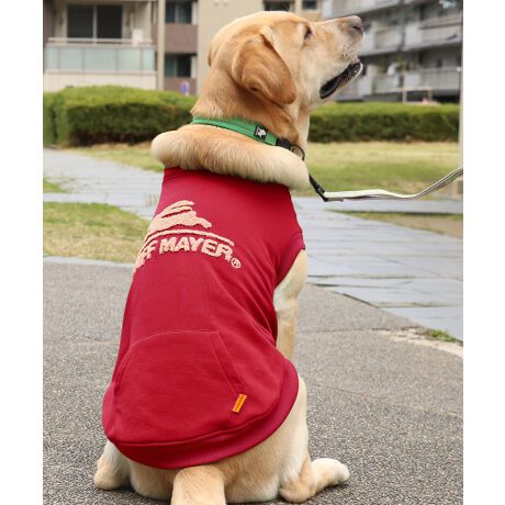 [^:D2527810B]sKRIFF MAYER H~ACeuDOGNуN[(TKS))vtD]Ă郍SV[YɂȂƁI^TCYoI_炩GƁA͂ƋNтĂgN[lbNXEFbgłBKRIFF MAYER̃Swʂɑ_TKhJꖇB@ۂ̓㊣₷A~̂ɂKĂ܂BςA͂ႢŉĂS􏬌^`^TCYWJ(i:D2527810)A`FbNĂIɂȂhbOEFAő̂񂿂ƍʉႨĨACe͓RZvg̃YACe(iԁF2523103)fB[XACe(iԁFW2527817)LbYACe(iԁFJ2527830)܂̂ŁAR[fy݂܂IACeɂăTCYقȂׁAl悭m߂B-------------------------ňFFȂLkF藠nFȂPA@F@􂢉ilbggpj-------------------------@KRIFF MAYERiNtC[jƑ݂Ȃ̖ɊyƏΊ͂BNtC[̕ɂ͂Ȏvlߍ܂Ă܂BYEfB[XELbYAXɃhbOEFA܂œWJBCȂXʂȎvoɕςuԂoAx[VbNIWieB[ӂVfC[EGAĂ܂B