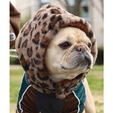 [^:D2527816]sKRIFF MAYER H~ACeuDOGjWvtNlC̃o[Vũt[h^{AACeIyjWzɂ񂿂poIt[h^̂{AœŜ܂ŒgłIo[VuȂ̂ŃR[fɍ킹āAꏏɒȂy߂܂Bt@bṼ|CgƂĂ͂IȂ񂿂A₷񂿂Ƃ̂łɂ߂łBʃt@Xi[͗͂ƂɊÔŁA}t[ƈႢ񂪒܂댯Ȃhł܂BɂȂhbOEFAő̂񂿂ƍʉłACełB̃ACe͓RZvg̃I[i[ACe(iԁFJ2527845EJ2527847)܂̂łR[fy݂܂IACeɂăTCYقȂׁAl悭m߂B-------------------------ňFFȂLkF藠nFȂPA@F@􂢉ilbggpj-------------------------@KRIFF MAYERiNtC[jƑ݂Ȃ̖ɊyƏΊ͂BNtC[̕ɂ͂Ȏvlߍ܂Ă܂BYEfB[XELbYAXɃhbOEFA܂œWJBCȂXʂȎvoɕςuԂoAx[VbNIWieB[ӂVfC[EGAĂ܂B