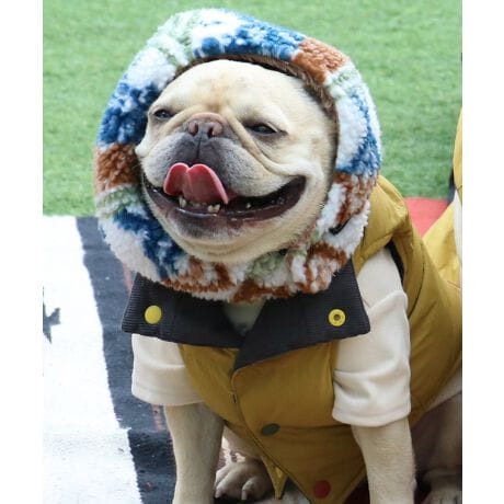 [^:D2527816]sKRIFF MAYER H~ACeuDOGjWvtNlC̃o[Vũt[h^{AACeIyjWzɂ񂿂poIt[h^̂{AœŜ܂ŒgłIo[VuȂ̂ŃR[fɍ킹āAꏏɒȂy߂܂Bt@bṼ|CgƂĂ͂IȂ񂿂A₷񂿂Ƃ̂łɂ߂łBʃt@Xi[͗͂ƂɊÔŁA}t[ƈႢ񂪒܂댯Ȃhł܂BɂȂhbOEFAő̂񂿂ƍʉłACełB̃ACe͓RZvg̃I[i[ACe(iԁFJ2527845EJ2527847)܂̂łR[fy݂܂IACeɂăTCYقȂׁAl悭m߂B-------------------------ňFFȂLkF藠nFȂPA@F@􂢉ilbggpj-------------------------@KRIFF MAYERiNtC[jƑ݂Ȃ̖ɊyƏΊ͂BNtC[̕ɂ͂Ȏvlߍ܂Ă܂BYEfB[XELbYAXɃhbOEFA܂œWJBCȂXʂȎvoɕςuԂoAx[VbNIWieB[ӂVfC[EGAĂ܂B