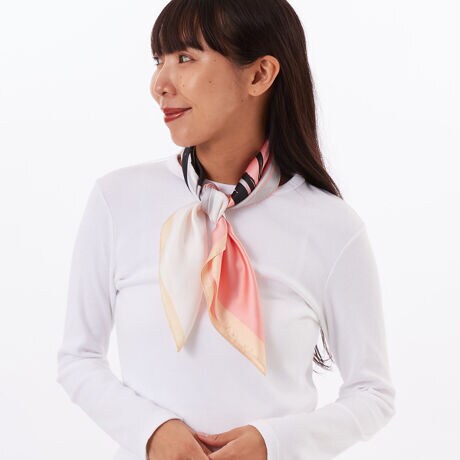 [^:28187]t[XJ[t傫Ԃ̎菑fUCXJ[tVOȂ̂ő傫TCYȂ̂Ŏɂ܂