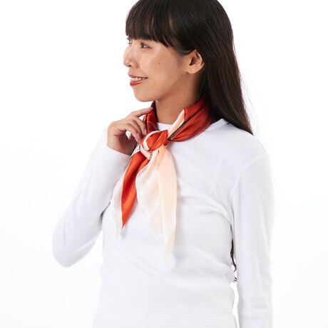 [^:28187]t[XJ[t傫Ԃ̎菑fUCXJ[tVOȂ̂ő傫TCYȂ̂Ŏɂ܂