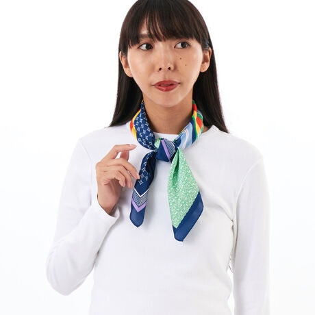 [^:28183]Sp^[XJ[t􉽕̂Sp^[fUCXJ[tVOcm̑唻TCY