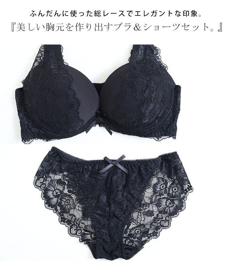 E80-I95】脇高総レースブラジャー＆ショーツセット 大きいサイズ