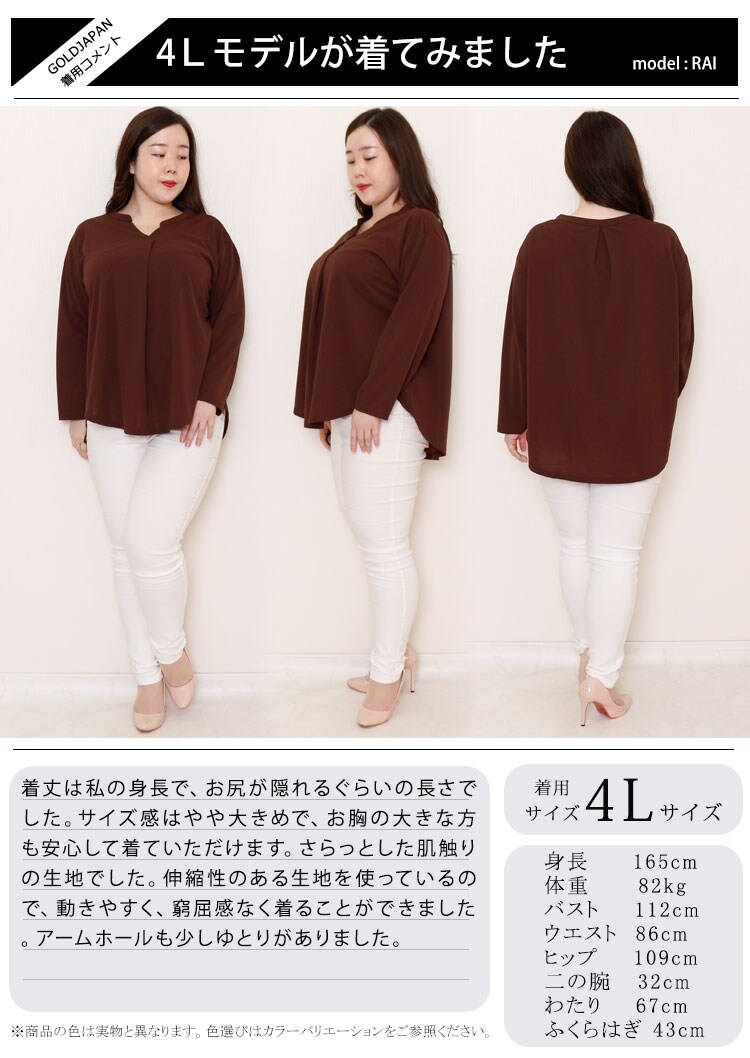 Ll 5l スキッパータックブラウス 大きいサイズレディース トップス ゴールドジャパン シャツ 限定版 汗染み ブラウス