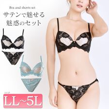 ゴールドジャパン(GOLDJAPAN)の【大きいサイズ】 サテン切り替えノンワイヤーブラ＆ショーツ2点セット 大きいサイズ レディース 下着