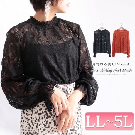 LL-5L】総レースシャーリングシアーブラウス 大きいサイズ レディース 
