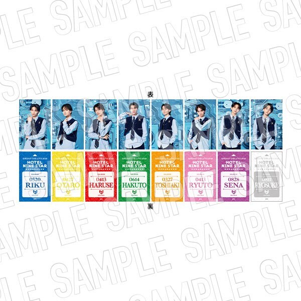 EBiDAN】 ルームカードキー風カード ICEx （ランダム全8種） | チュウ