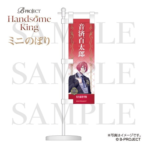 [}C]yB-PROJECTz~ĵڂ Handsome King ver.  SY/RYiCOMSj