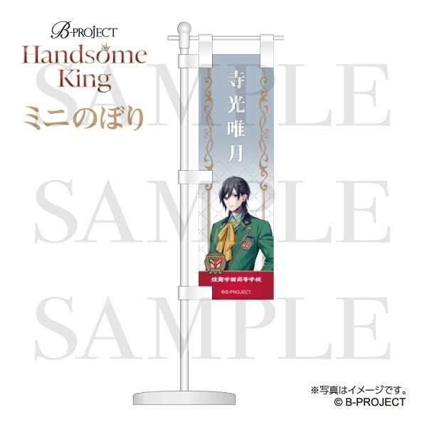 [}C]yB-PROJECTz~ĵڂ Handsome King ver.  B/RYiCOMSj