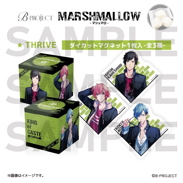 [}C]yB-PROJECTz}V} THRIVE/RYiCOMSj