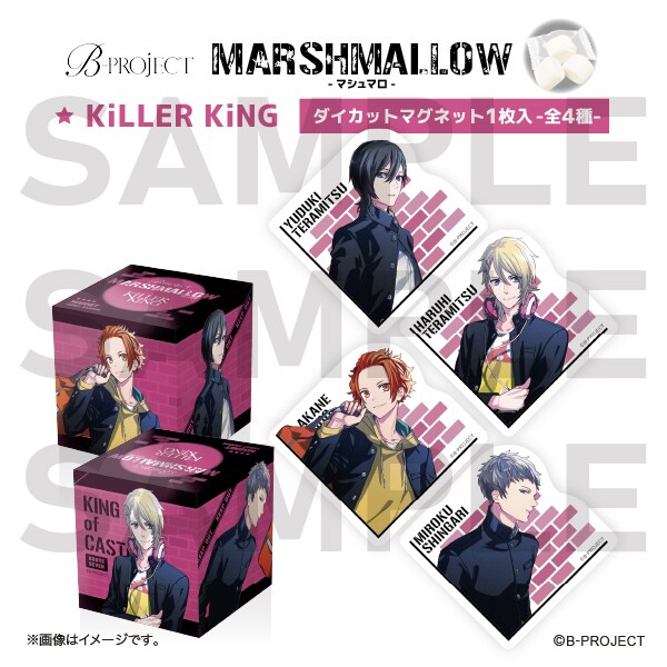 [}C]yB-PROJECTz}V} KiLLER KiNG/RYiCOMSj