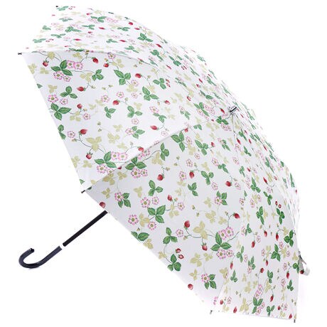 [^:0012670001]SʂɁyChXgx[zƁyXgx[ CNu[z̃vg{ꂽ؂₩ȐJpPB܂񂾎PƎ[łPܕtłB[WEDGWOOD]WEDGWOOD́upH̕vƌĂ΂WTCAEEFbWEbhɂ1759Nɑn݂ꂽmHuhłBCMX͂ߊẻMɈpꂽƂŖmȂ̂ƂAɂĂɐV̂ɒ킵Ď[hĂWTCÃXsbgnƓς炸Ɏ󂯌pĂ܂B