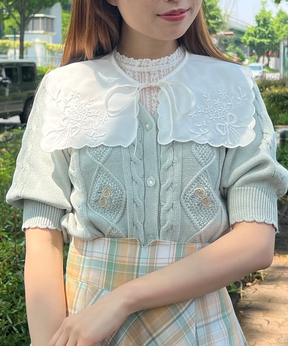 ADORE アドーア　半袖　ブラウス　花刺繍　カットワークレース ADORE アドーア 半袖 ブラウス 花刺繍 カットワークレース