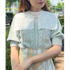 花刺繍カットワークつけ衿【洗える】