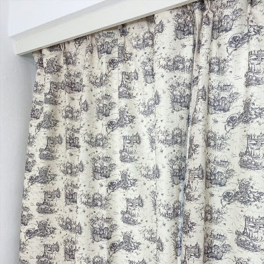 [�}���C]�p���g�������J�[�e��/F i.n.t HOME/�t�B���g�iFINT�j CHARCOAL