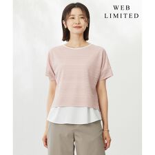 【WEB限定カラーあり・洗える】レースドッキング カットソー