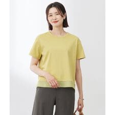 【WEB限定カラーあり・洗える】コットンスムース シアーデザイン カットソー