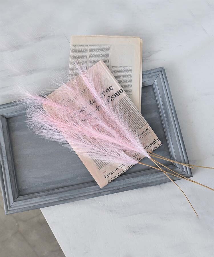 [}C]tFCNppXOX 5{Zbg / 55cm/X^Cistyiroj sN