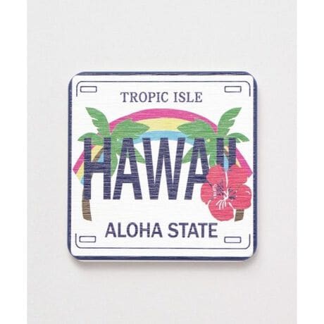 [^ԁF42FP0251-2024]HAWAIȊ\Iȃ`[tfGȌ]ỹR[X^[BzALɗDĂ̂łꂪȒPɏo܂BR[X^[ƂĈȊOɂԕrCeAɒuĂHAWAIIACełB