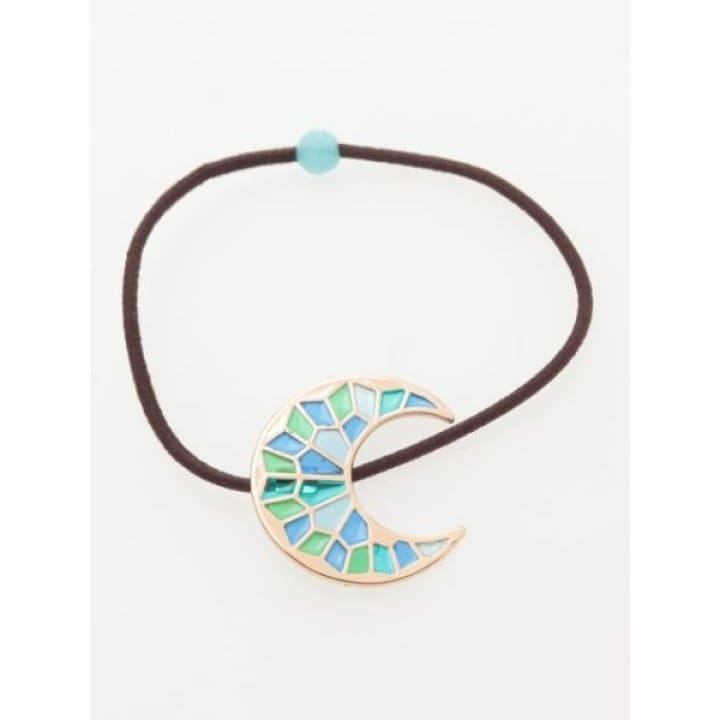 [}C]yBqHz[`FwAS/BqHioushukouroj ̑2