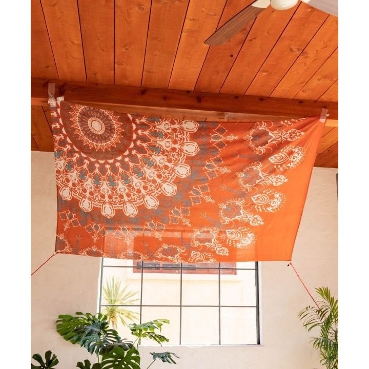 [}C]y`CnlzT[^[vNXi150cmj/`CnliCAYHANEj bh