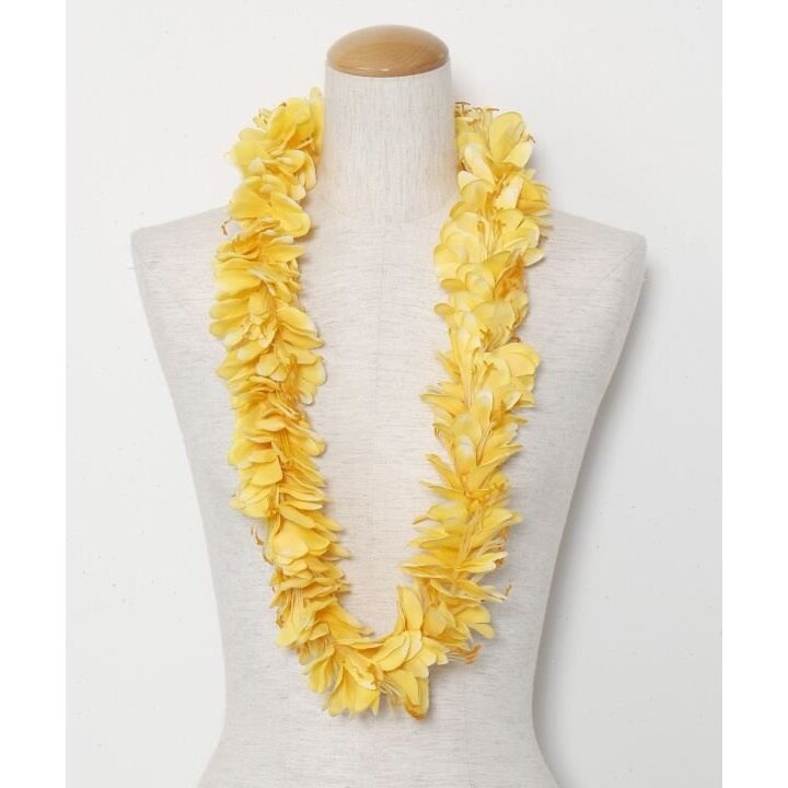 [}C]y}EiAzJqWW[C/}EiAimaunaloaj CG[