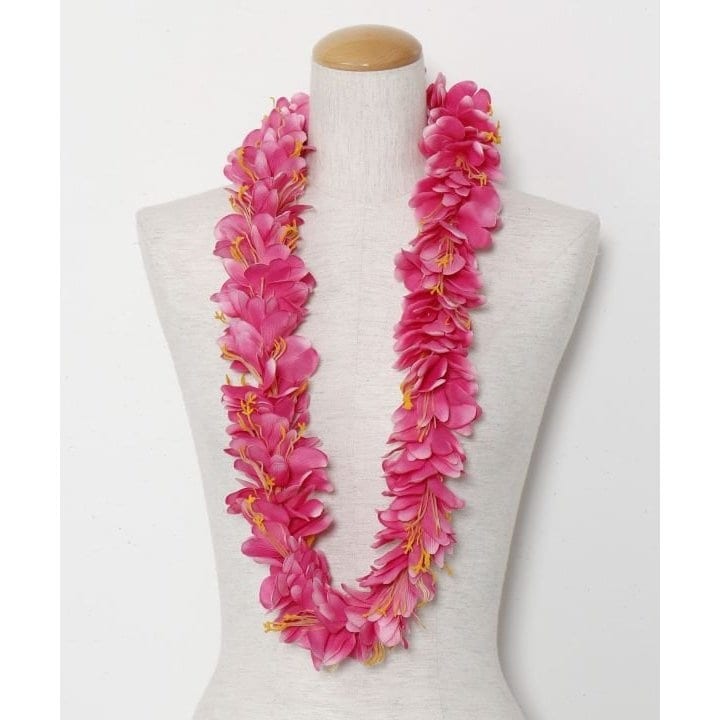 [}C]y}EiAzJqWW[C/}EiAimaunaloaj sN