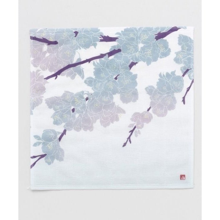 [}C]yJztтӂ/Jikayaj ̑1