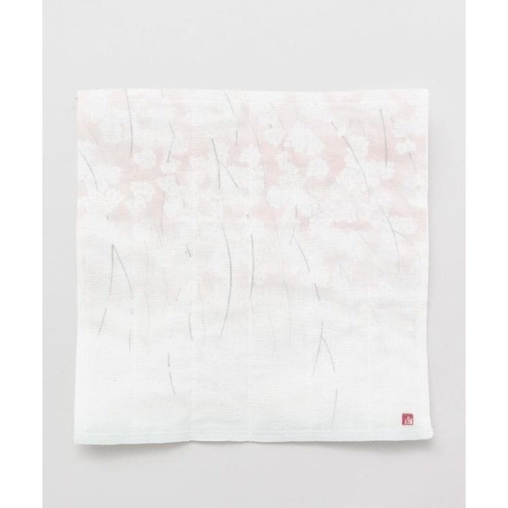 [}C]yJztтӂ/Jikayaj ̑4