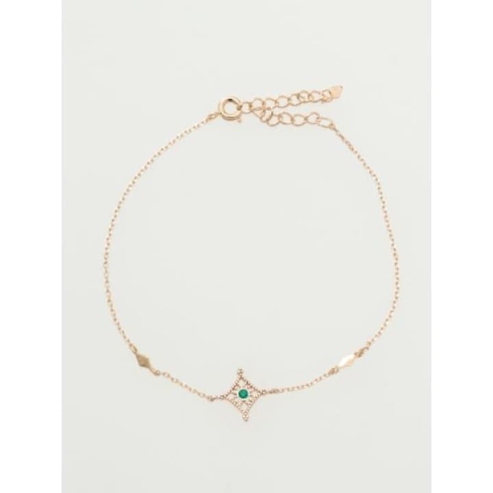 [}C]yBqHzo[Xf[X_[uXbg/BqHioushukouroj ̑5