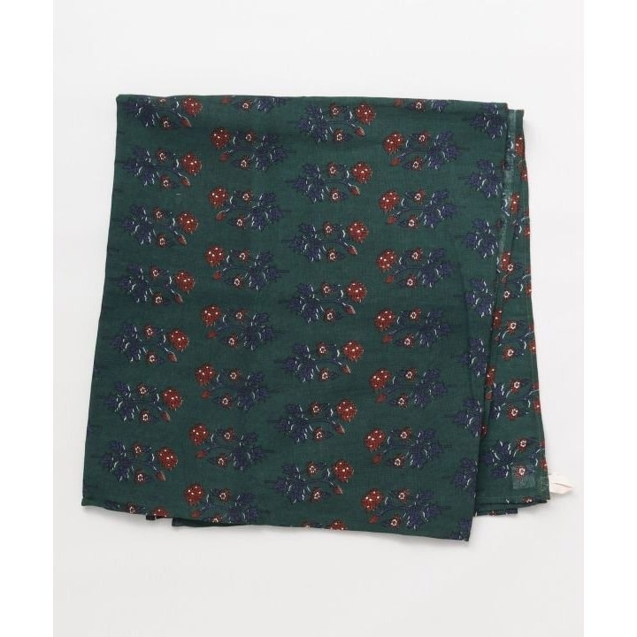 [�}���C]�y�`���C�n�l�z�A�������[�v�}���`�N���X�s225cm×150cm�t/�`���C�n�l�iCAYHANE�j �O���[��