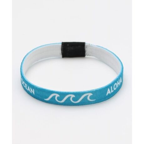 [^ԁF4CZZ2101-2024]SAVE HONU PROJECT `eB[uXbgBグ̈ꕔtAHAWAIĨzk̕ۑSɖ𗧂Ă܂BnCAA[eBXgłpgbNE`̃zkA[g䎆