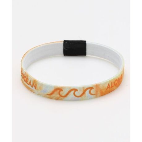 [^ԁF4CZZ2101-2024]SAVE HONU PROJECT `eB[uXbgBグ̈ꕔtAHAWAIĨzk̕ۑSɖ𗧂Ă܂BnCAA[eBXgłpgbNE`̃zkA[g䎆