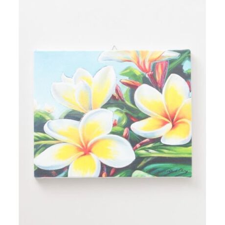 [^ԁF4SJP2103-2024]HAWAIInA[eBXgApgbNE`̊G{ꂽA[g{[hBHAWAIǏzIȓ{łKahikołɓ܂BzIȃA[g{[h́AHAWAII̔񂶂Ă܂B