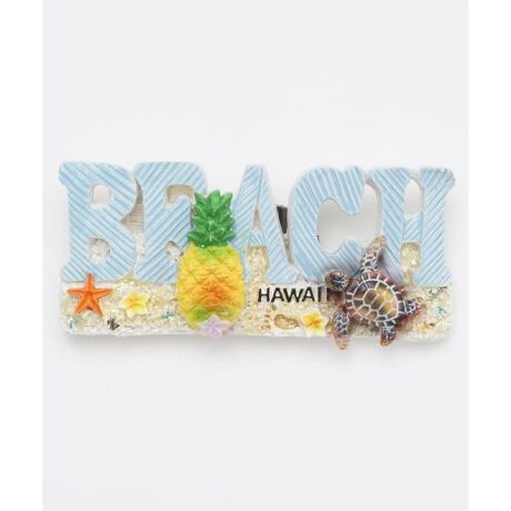 [^ԁF4HAP3718-2024]HAWAIIABHAWAII炵JtȃvApCibvfUCꂽAW߂ȂႤ}OlbgB