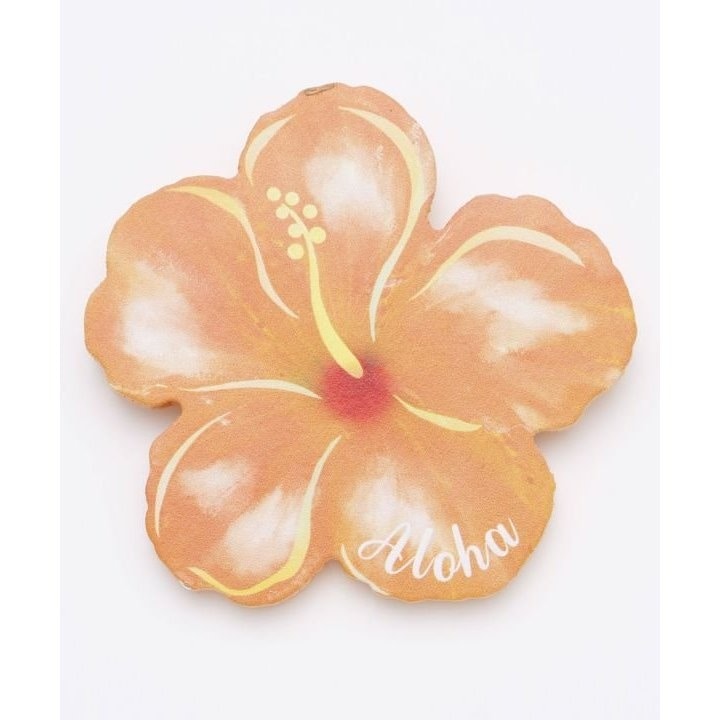 [}C]yJqRzJ[nCrR[X^[/JqRiKahikoj IW