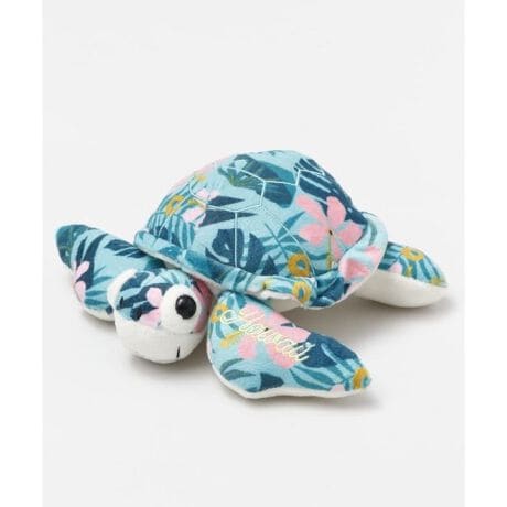 [^ԁF4HAP4604-2024]nC͂GSn̂zk̂ʂ݁BAGt́uFƂǂv̈ӁAuzkv̓nCŒK̃V{łB