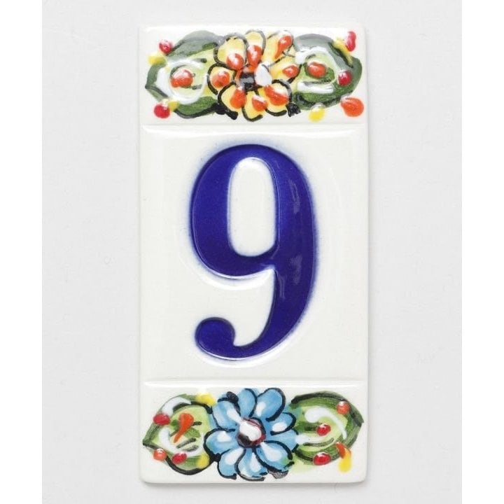 [}C]yBqHzyIVANROS(CoX)zio[^C/BqHioushukouroj ̑9