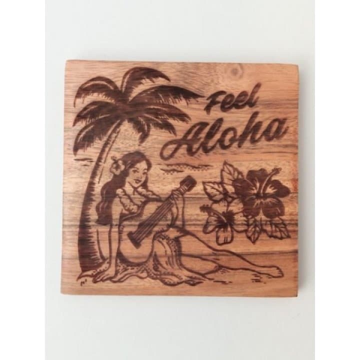 [}C]yJqRzEbhjR[X^[/JqRiKahikoj ̑1